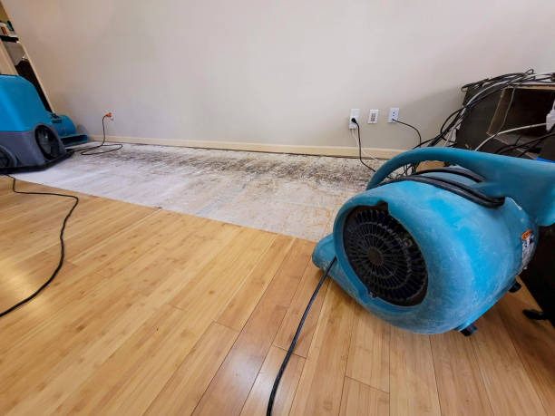 Professional Burst Pipe Water Damage technician working in Arlington Heights, WA